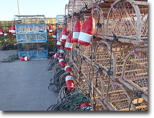 Lobster traps